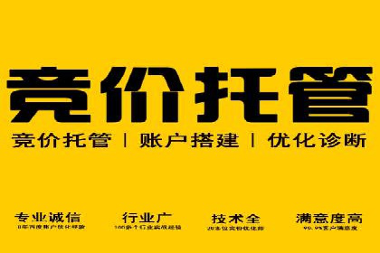 实战经验：竞价推广案例分享与优化技巧
